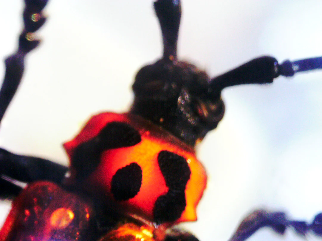 Thumbnail 13